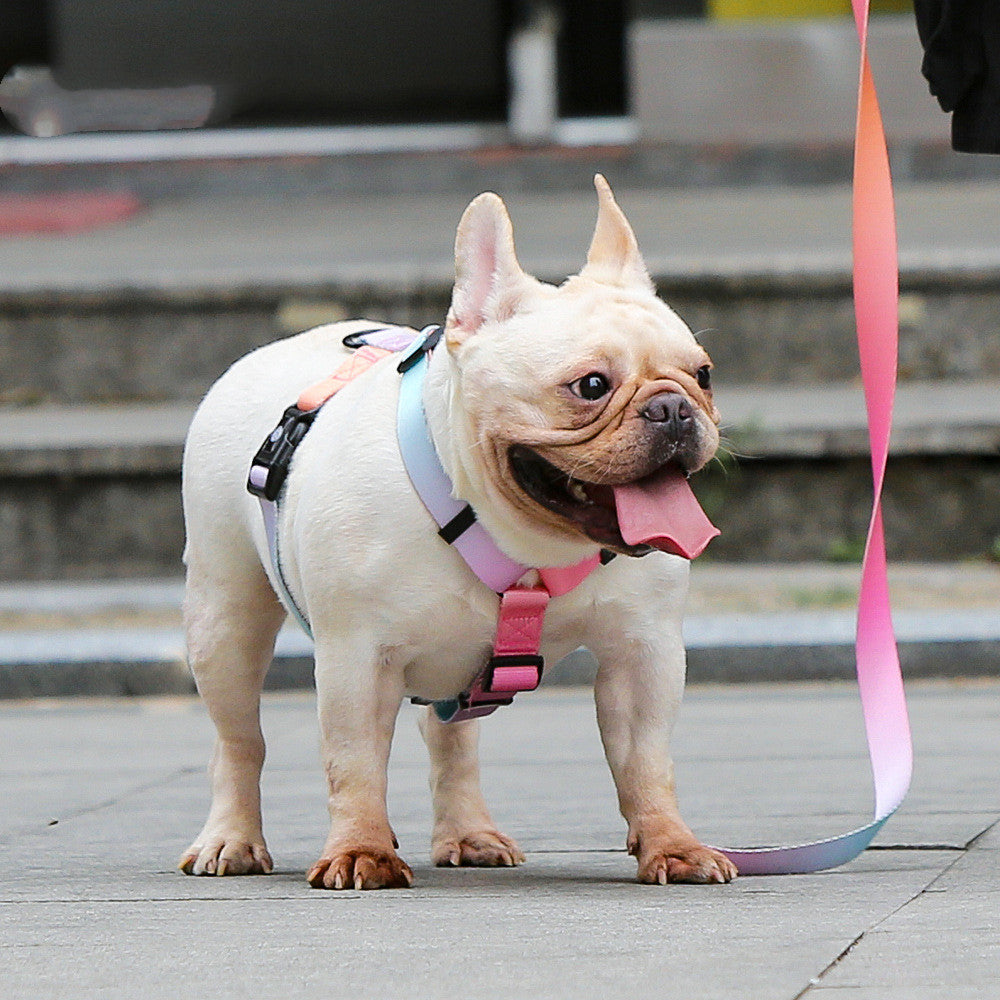 Nylon Pet Chest Strap