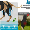 Dog Rear Back And Hind Leg Protective Cover