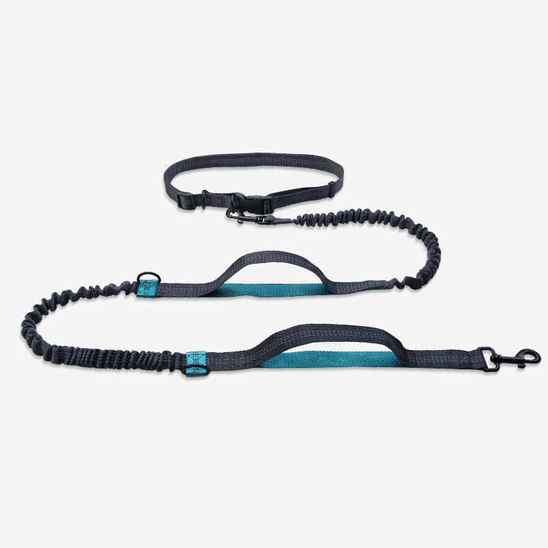 Reflective Double Telescopic Running Dog Leash