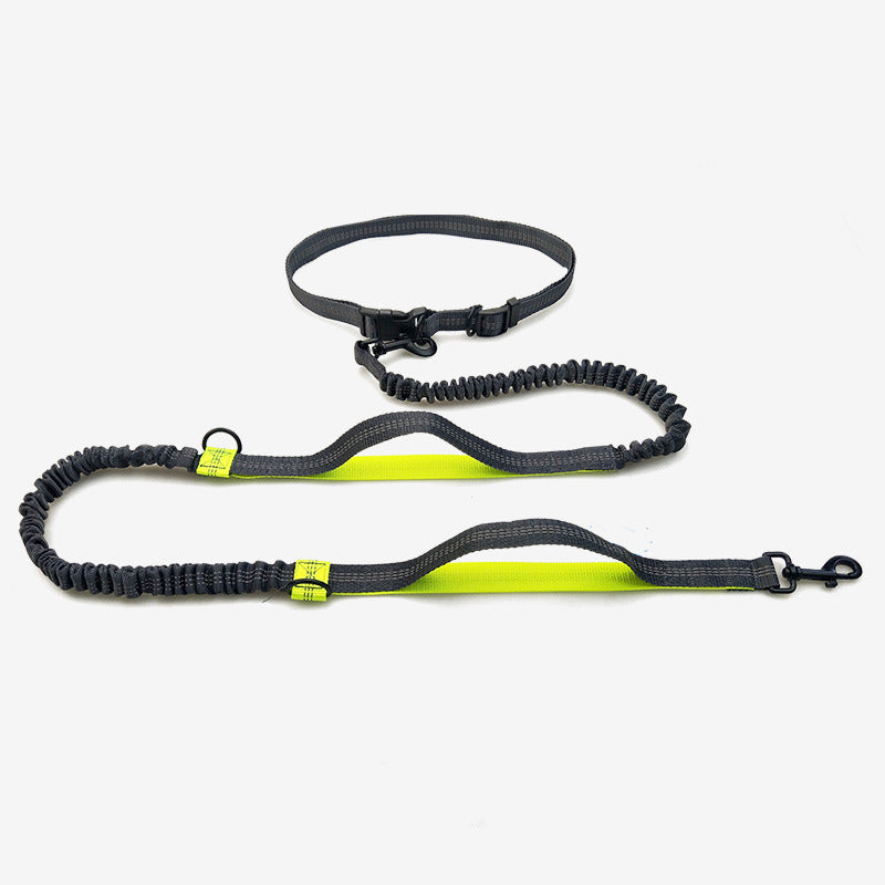 Reflective Double Telescopic Running Dog Leash