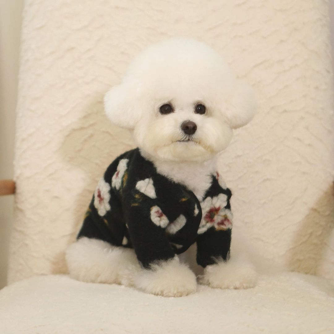 New Warm Lamb Wool Flower Dog Sweater
