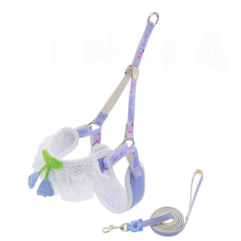 Polyester Dog Leash for Small Dogs
