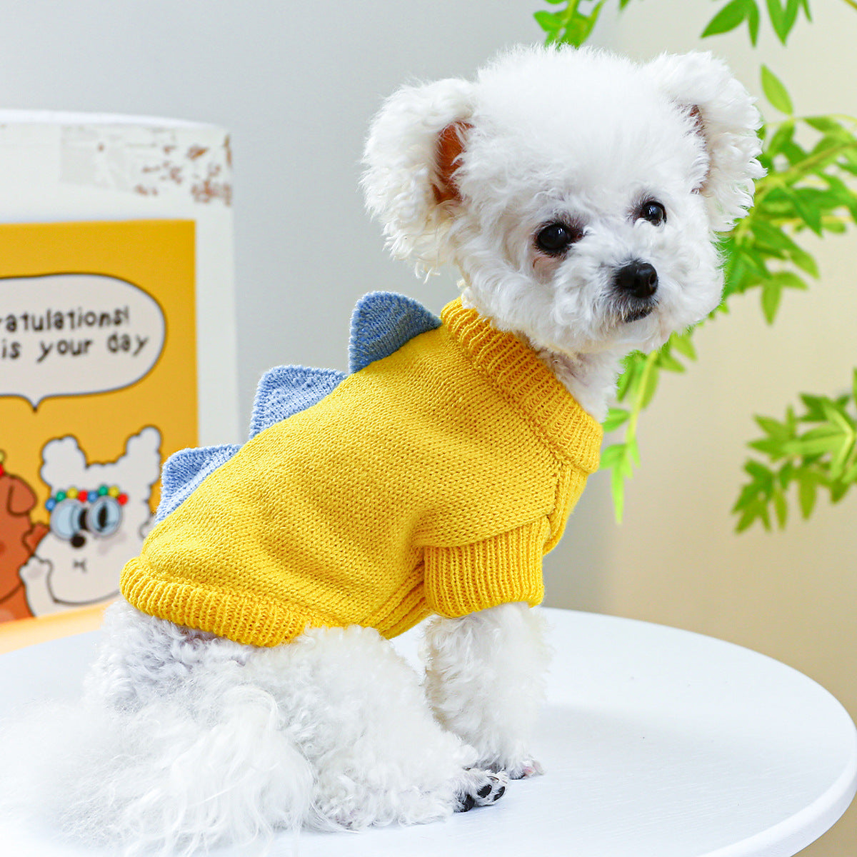 Warm Comfortable Cute Dog Clothes