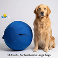 Blue Interactive Chew Ball For Large Dogs