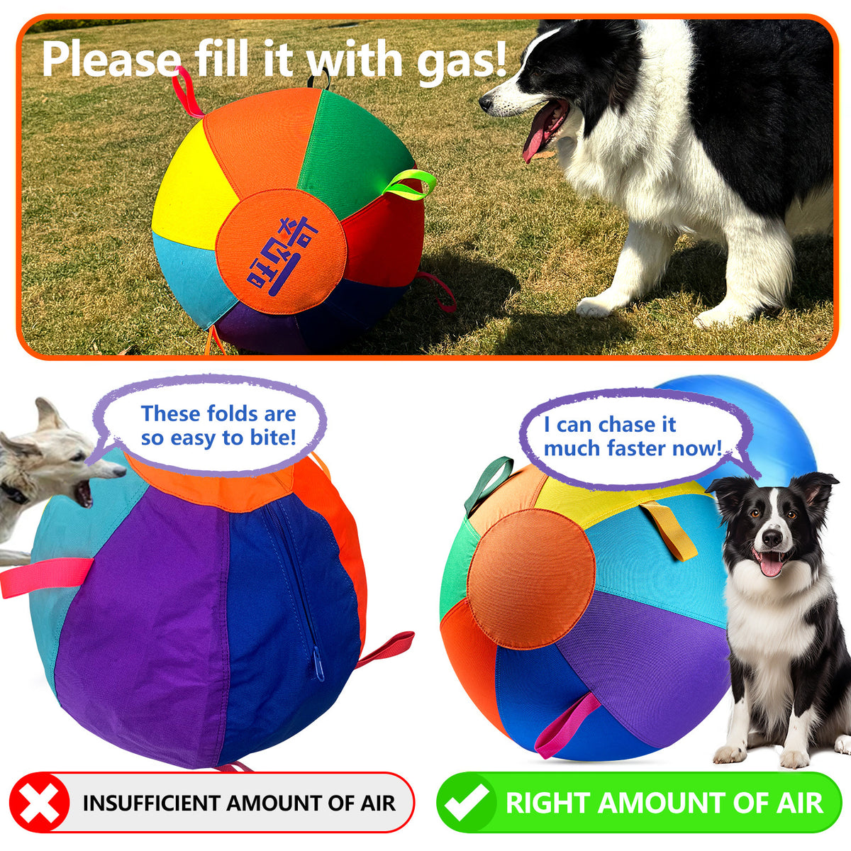 Colorful Inflatable Dog Toy Ball
