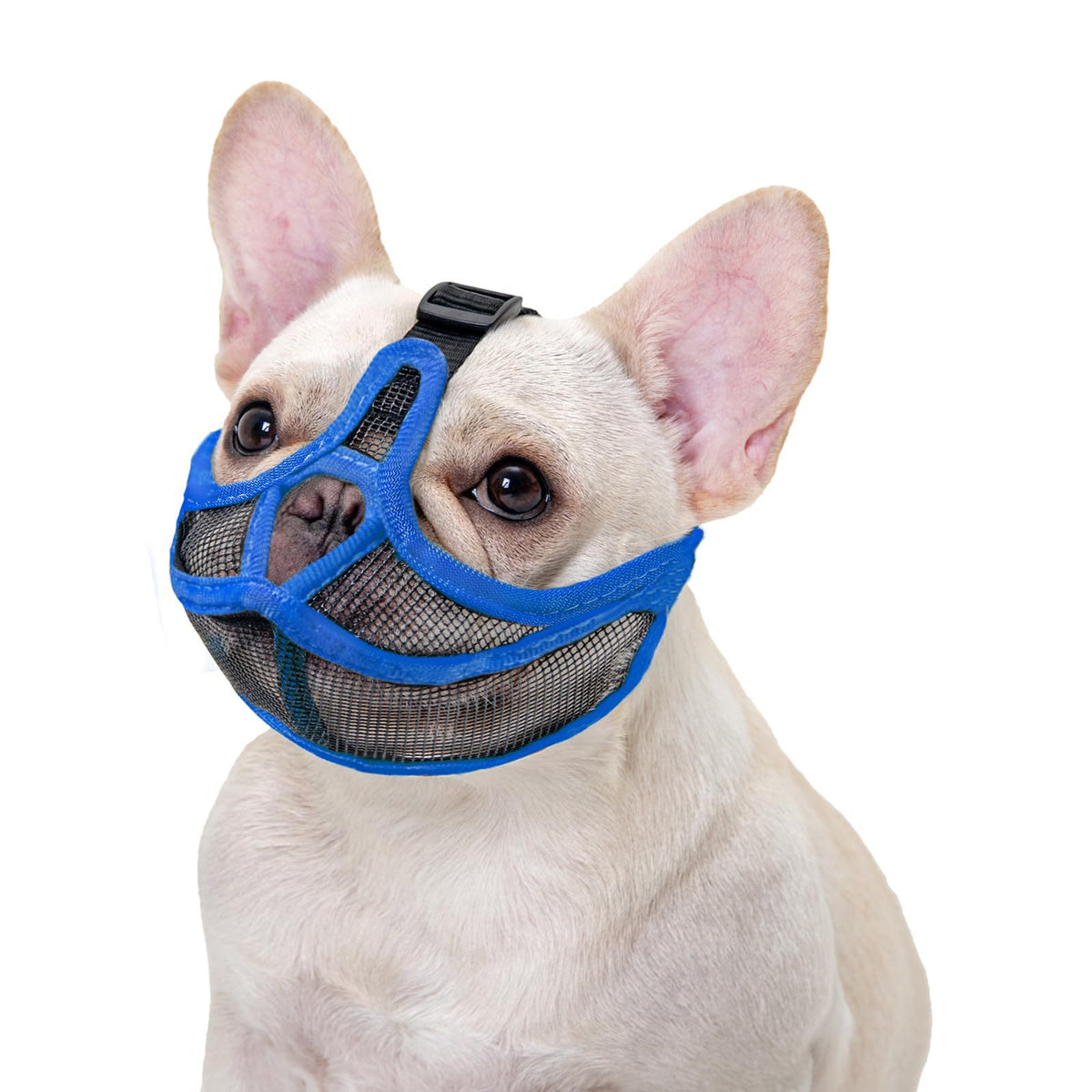 Breathable Anti-Bite Muzzle For Short-Snouted Dogs