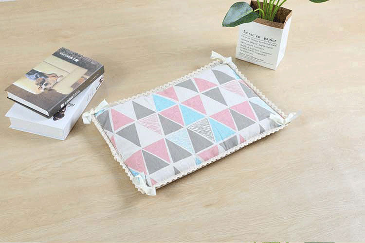 Summer New Style Positive And Negative Dual-Purpose Mat Pet Mat