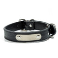 Stainless Steel Laser Engraved Iron Sheet Pu Pet Collar
