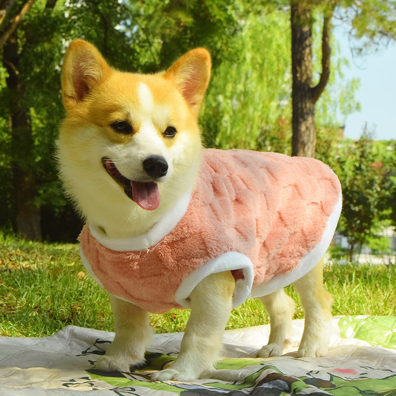 Dog Clothes Fall And Winter Medium-Sized Anti-Dirty Warm Padded Vest