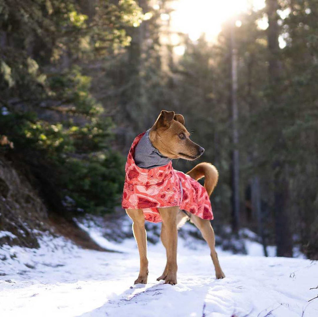 Quilted Waterproof Large Dog Coat