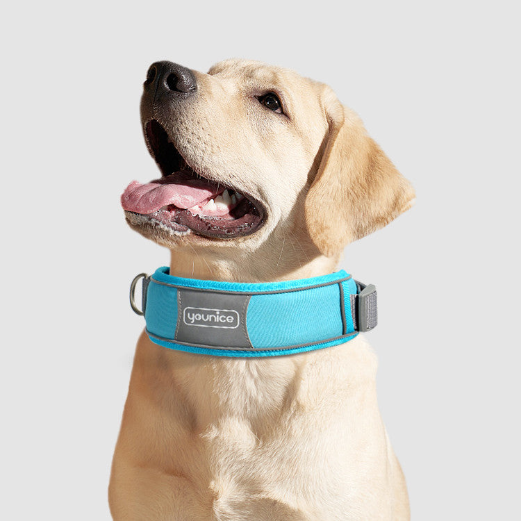 Cute Dog Collar Leash Explosion-Proof And Anti-Off