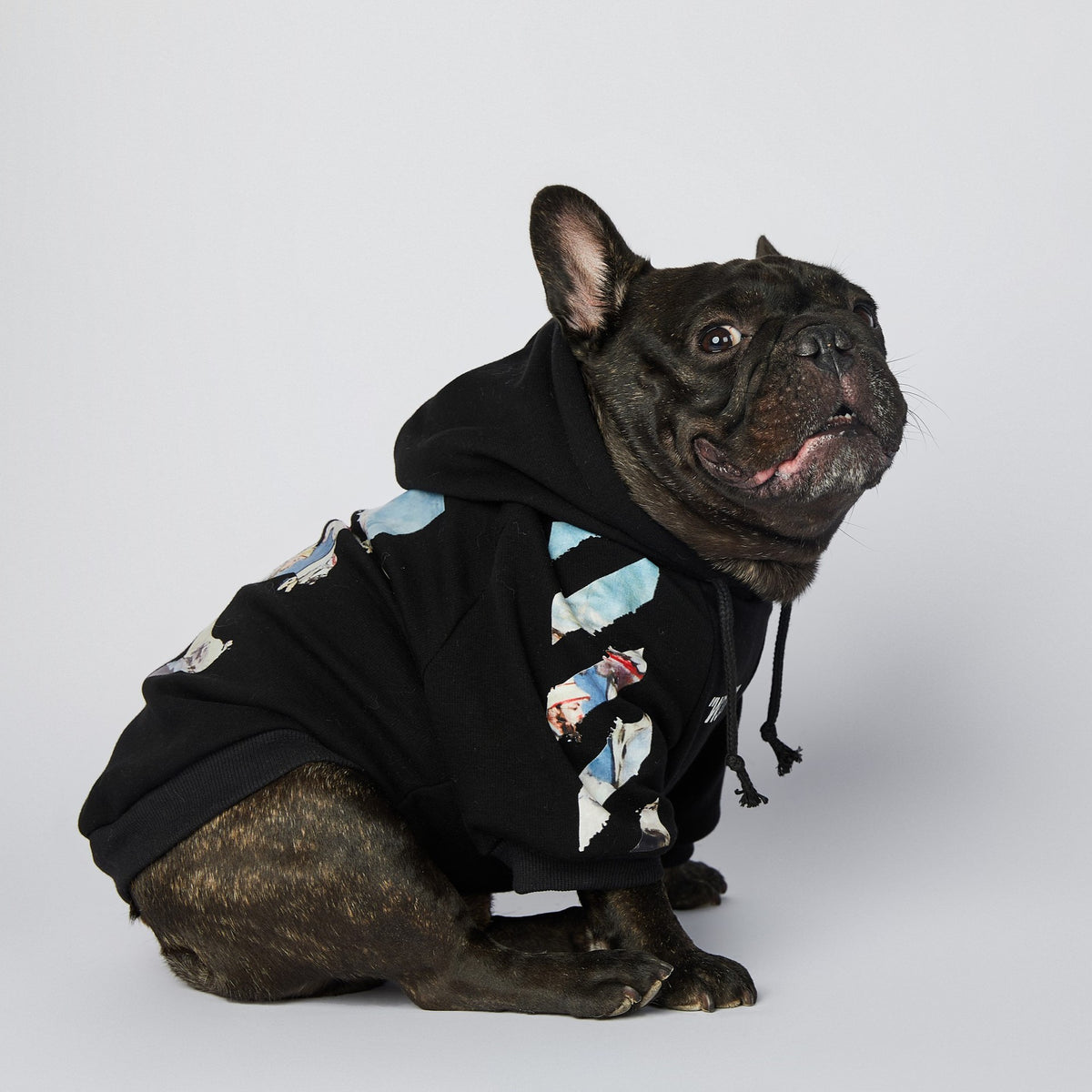 Fashion Schnauzer Dog Clothes