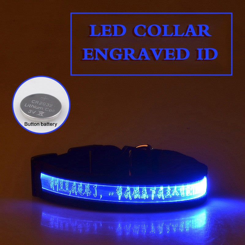 Glow In The Dark Lettering Dog Collar