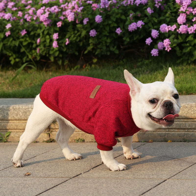 Fall Winter New Style Sweater Two-Legged Clothes Dog Supplies