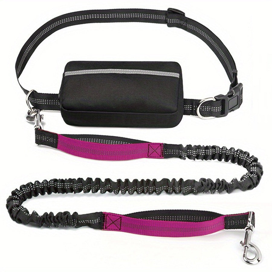 Nylon Waist Bag and Running Leash