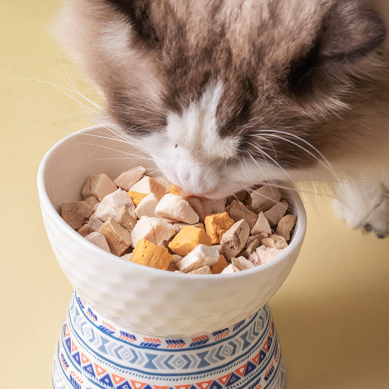 Pet Ceramic High Foot Protective Cervical Bowl