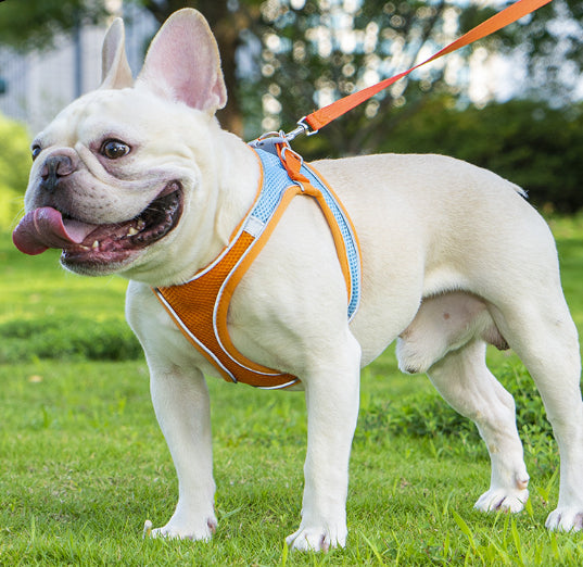 Reflective Breathable Pet Harness and Leash Set