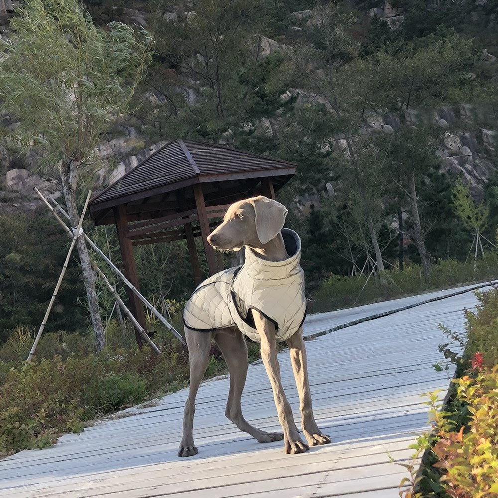 Full-Body Reflective Tactical Dog Jacket