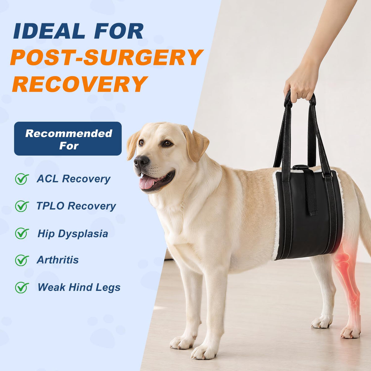 Rear Leg Dog Lift Harness