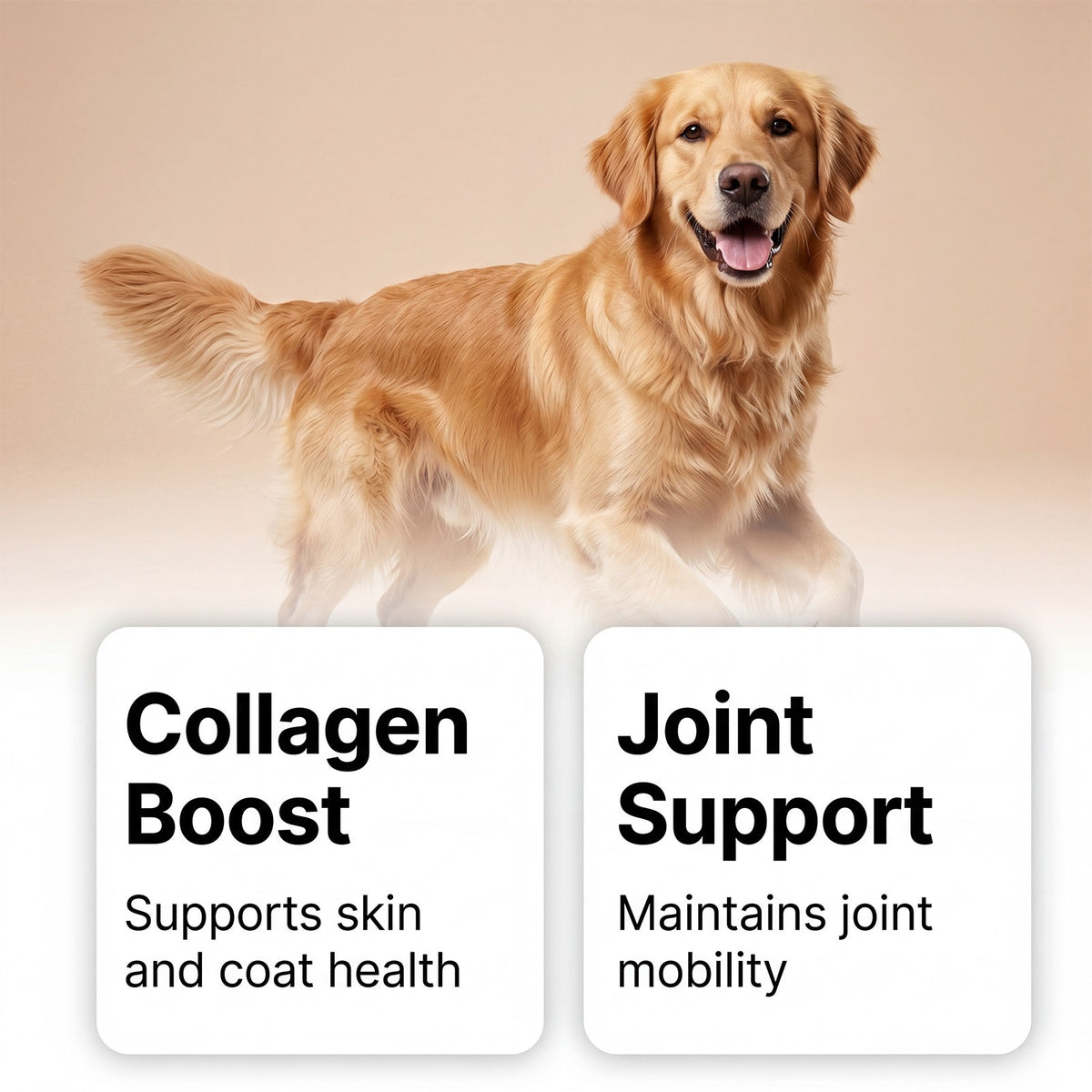 Dog Collagen Drops For Gentle Care And Comfort