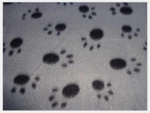 Warm Super Soft Doghouse Mat