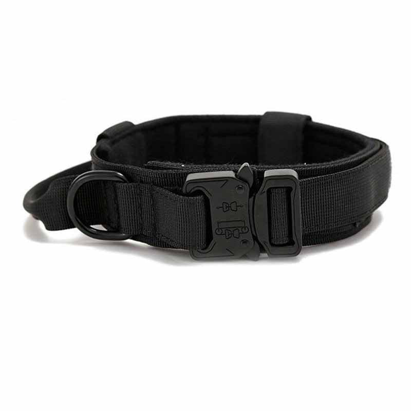 Simple Solid Color Outdoor Traction Pet Collar