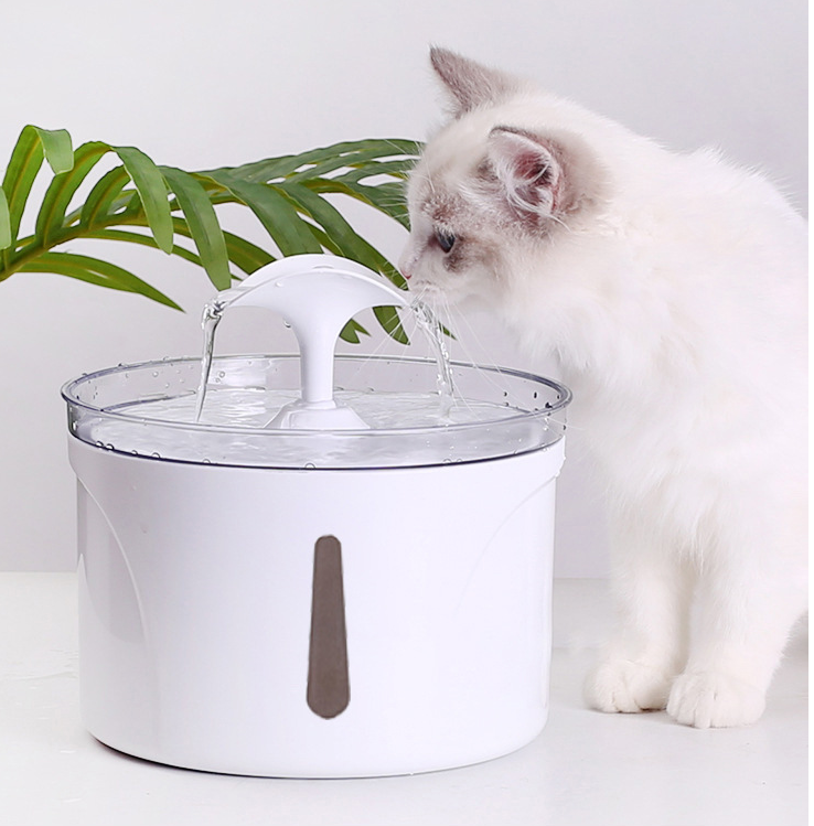 Automatic Filtering Pet Water Dispenser