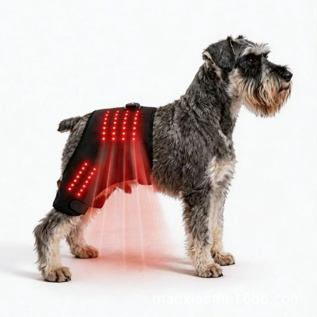 Dual-Use Pet Front Rear Limb Hip Care Band