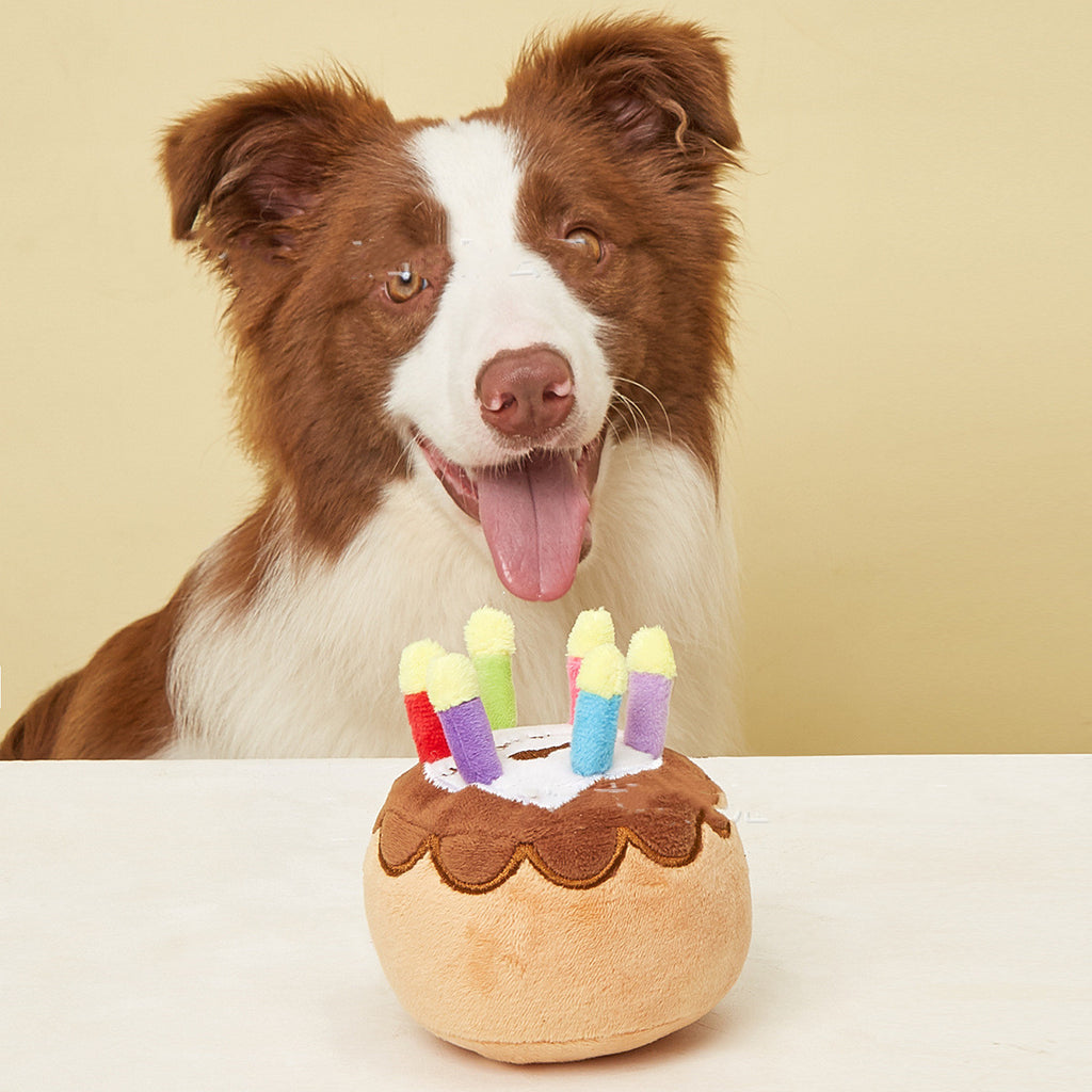 Plush Pet Birthday Cake Toy