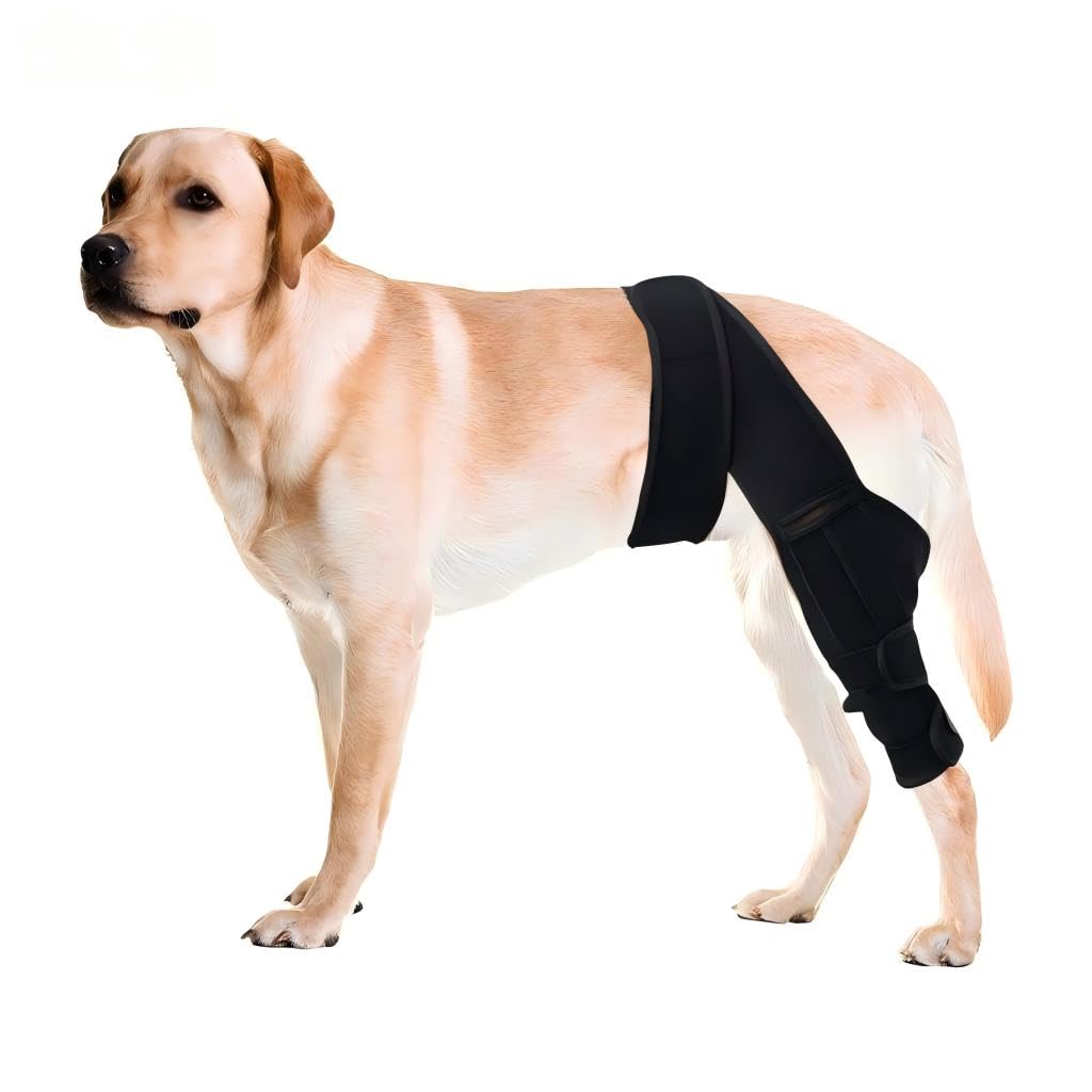 Adjustable Dog Knee Brace for Hind Leg