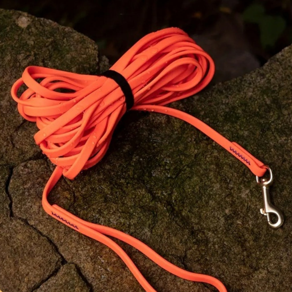 Thickened Anti-Breaking Dog Training Leash
