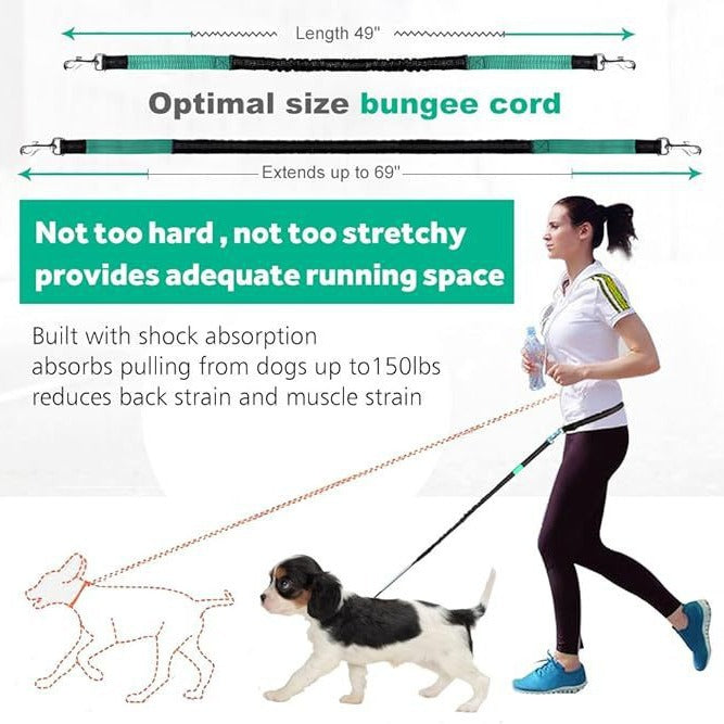 Reflective Dog Running Leash Set Night Running Waist Pack