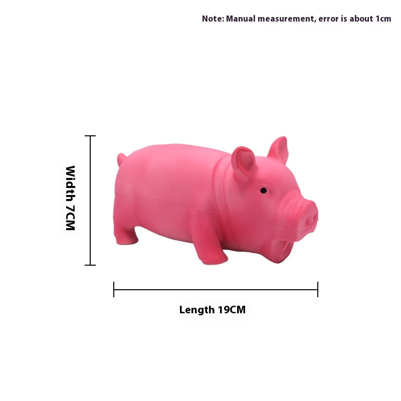 Long-Lasting Dog Molar Chew Toy