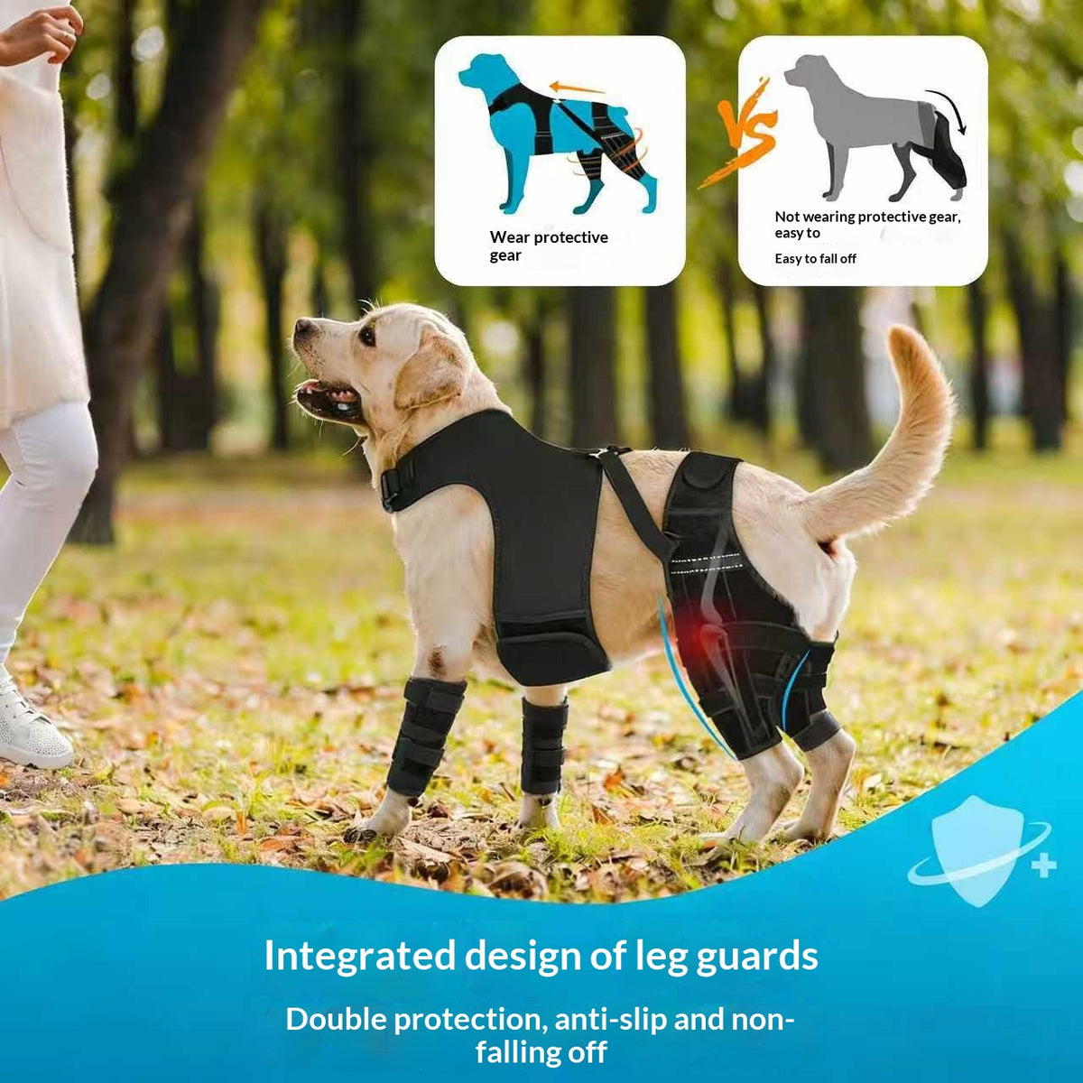 Dog Rear Back And Hind Leg Protective Cover