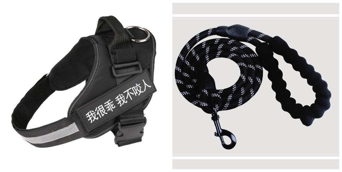 Simple Dog Leash And Chest Strap Set