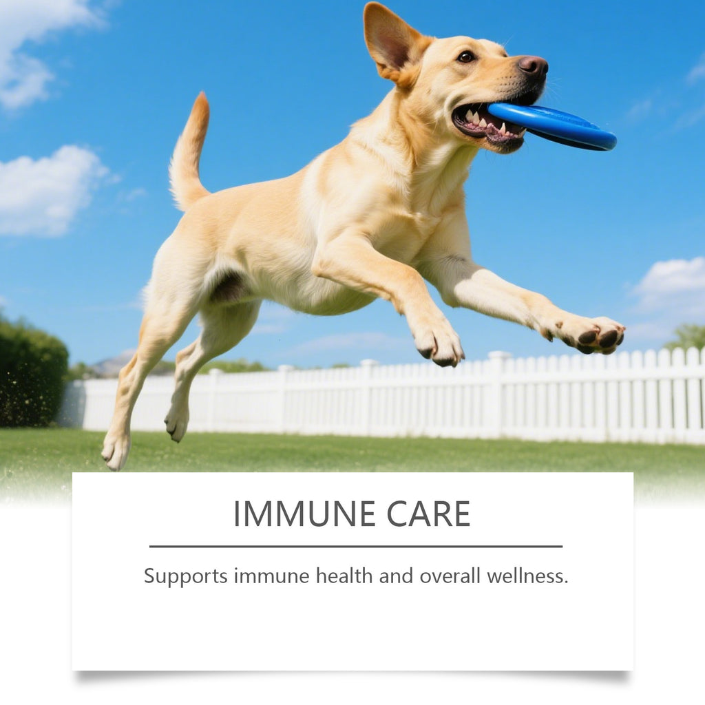 Dog Chewable Tablets 200 g