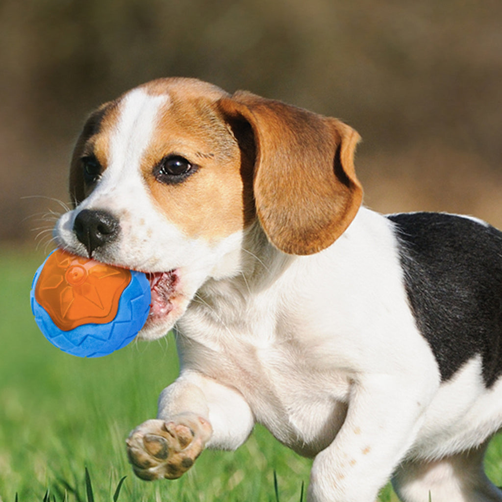 Audible Glow Floating Dog Chew Toy
