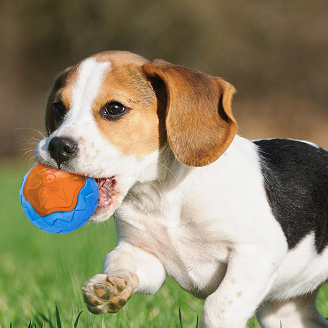 Audible Glow Floating Dog Chew Toy