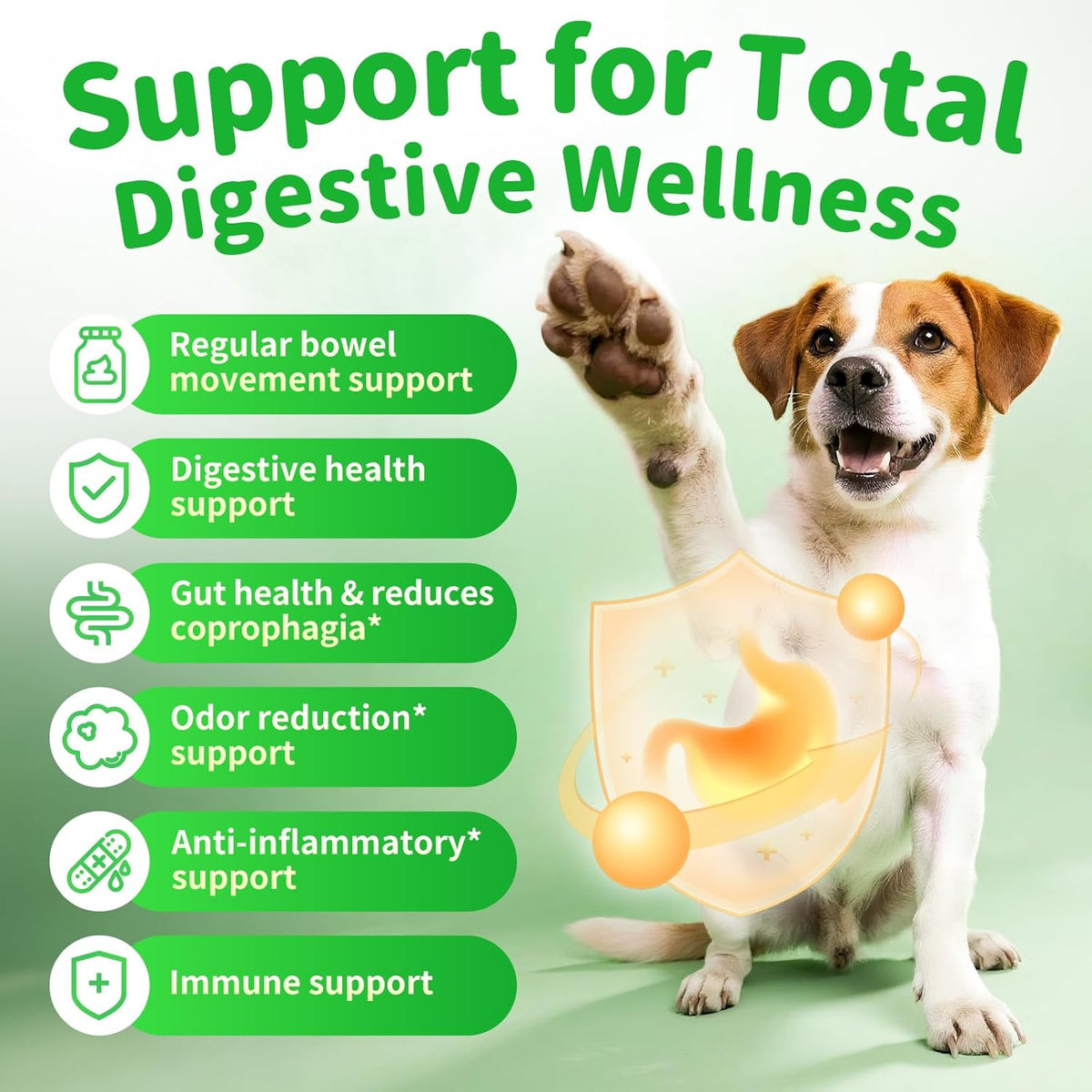 Dog Probiotics Digestive Enzymes,Pumpkin Fiber Chews For Gut Health, Constipation Upset Stomach Relief, Gas & Stool Support, Chicken Flavor