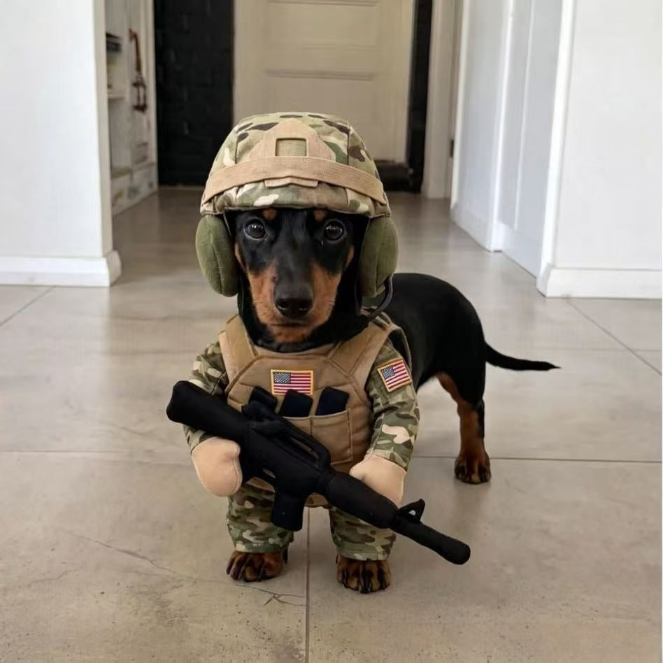 Puppy Soldier Costume Set