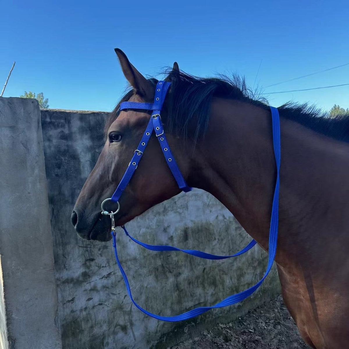 Fiber Horse Halter Bridle Rope
