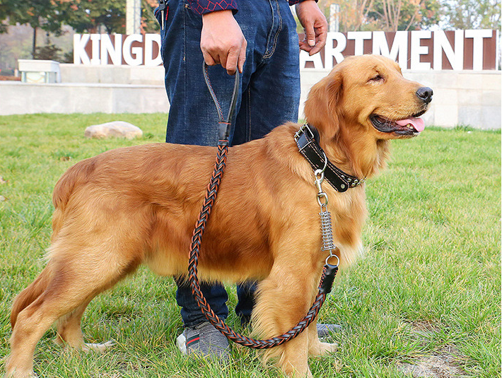 Leather Traction Rope Chain Explosion-Proof Punch Collar