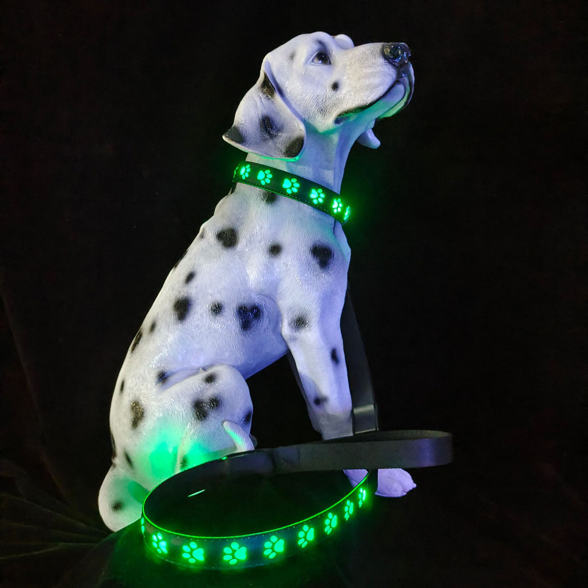 Creative Dog'S Paw Printing 7 Colors In One Led Luminous Collar