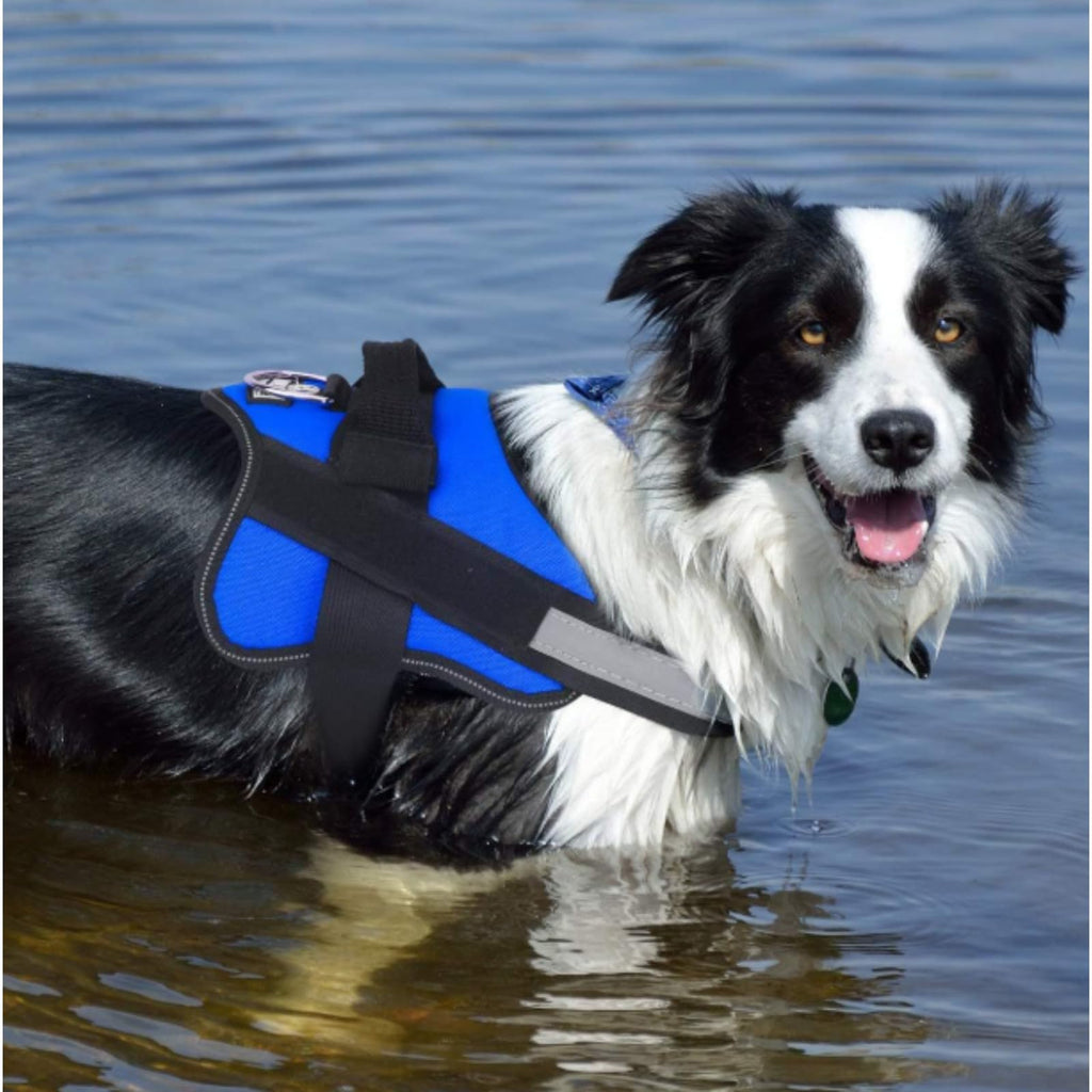 Breathable Reflective No-Pull Dog Harness with Handle
