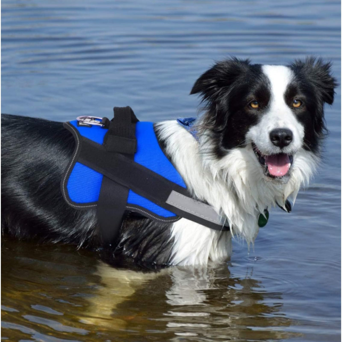 Breathable Reflective No-Pull Dog Harness with Handle