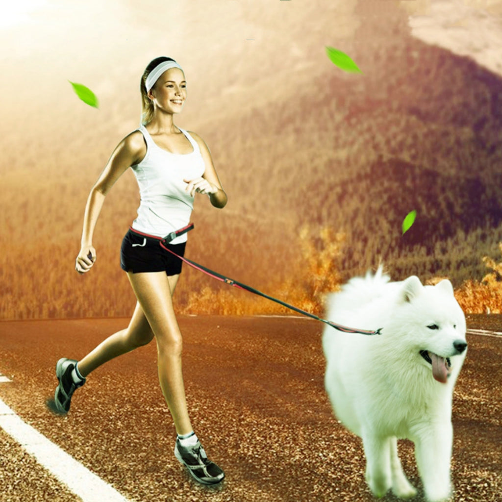 Pet Running Hand Holding Rope Explosion-Proof Exercise Dog Walking Traction Belt