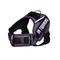 Reflective Custom Dog Chest Harness Leash