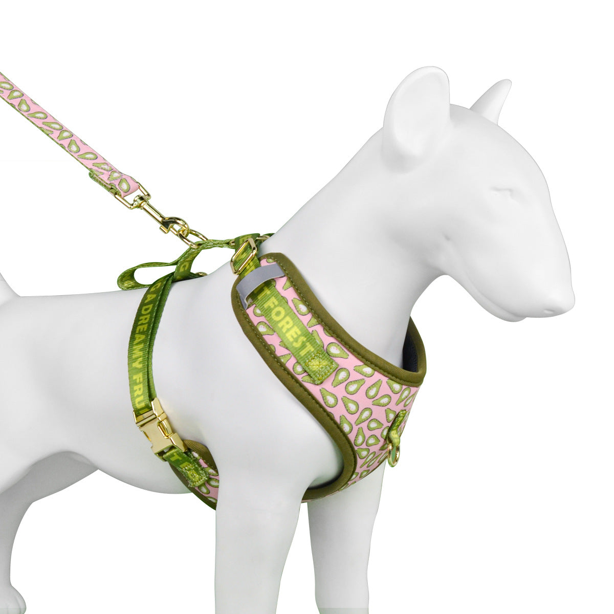 Summer Cute Pet'S Chest-Back Haulage Rope Package Suitable For Medium And Large Pet Dogs