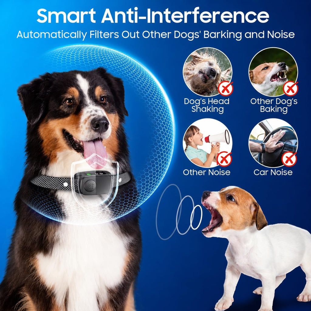 Automatic Bark Collar for Medium and Large Dogs