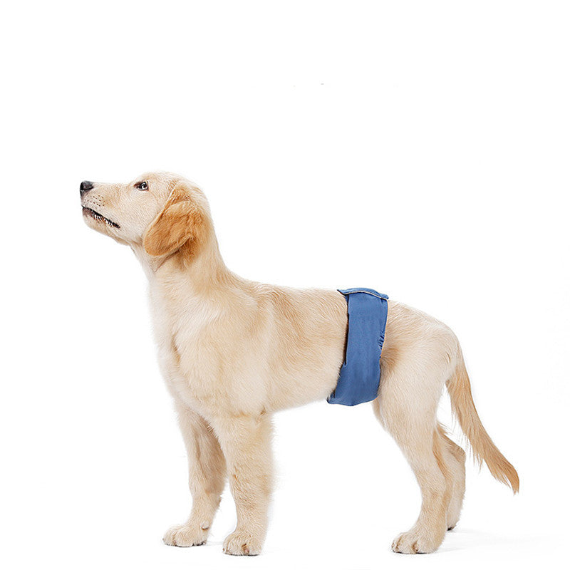 Breathable Absorbent Dog Menstrual Panties